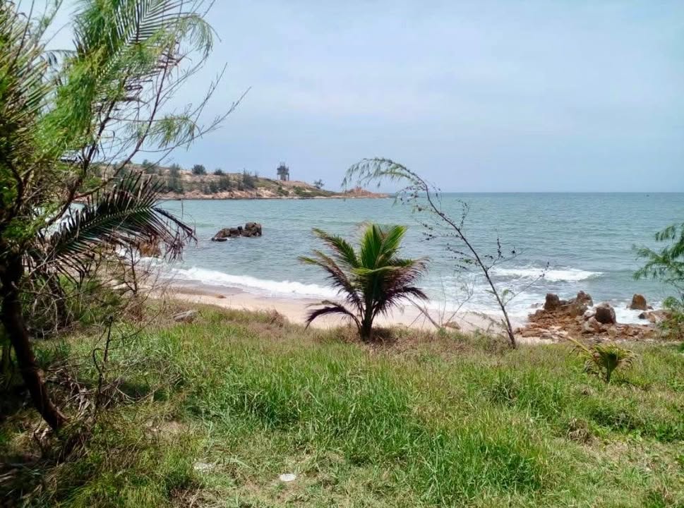 Đất nền 1500m² ngay biển Bình Thạnh, Tuy Phong - Giá chỉ 250 triệu!