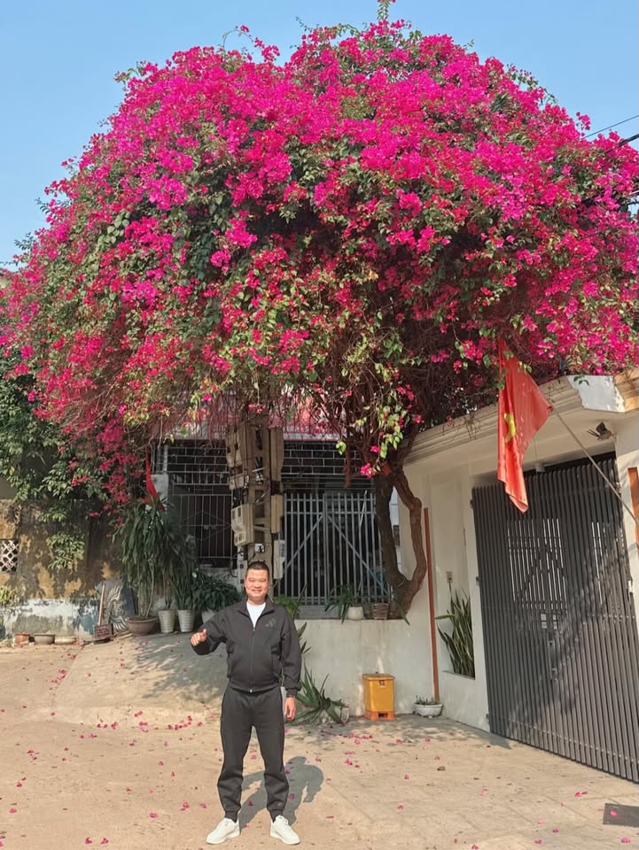 Đất liền kề 125m² Phường Hoàng Văn Thụ - Giá thỏa thuận hấp dẫn!