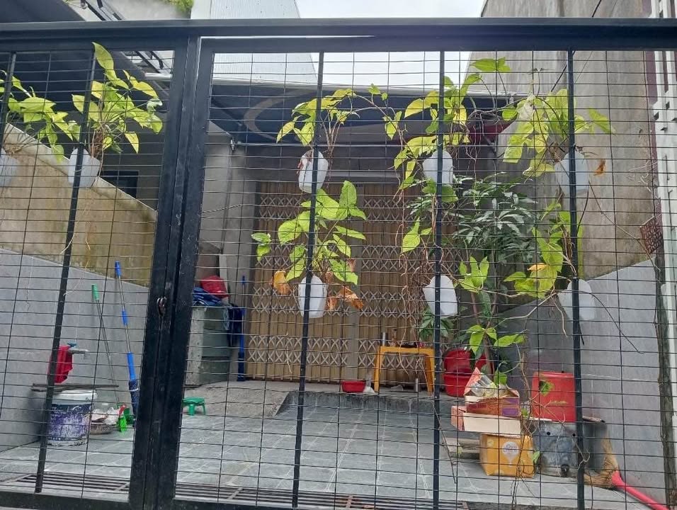 Đất tặng nhà cấp 4 tại Kiệt Hải Phòng, Thanh Khê, Đà Nẵng 70m² - Sẵn sàng vào ở ngay!