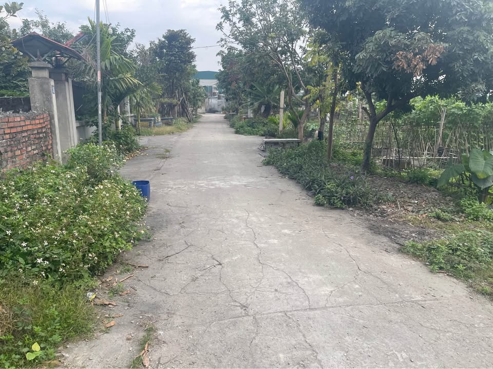 Đất vườn 800m² Cẩm Phả giá 350 triệu - Thích hợp cho trồng cây, nuôi cá!