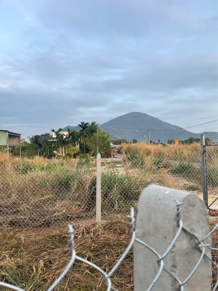 Đất thổ cư 177m² Thạnh Tân, TP Tây Ninh giá 470 triệu - Cơ hội đầu tư tuyệt vời!