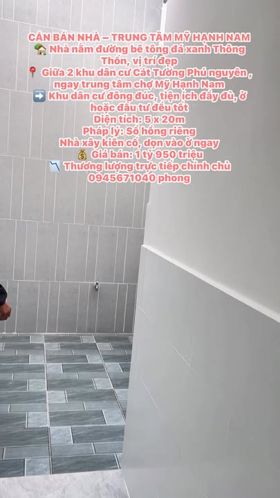 Nhà bán tại Mỹ Hạnh Nam 100m² giá 1.95 tỷ - Vị trí đẹp, sẵn sàng vào ở!