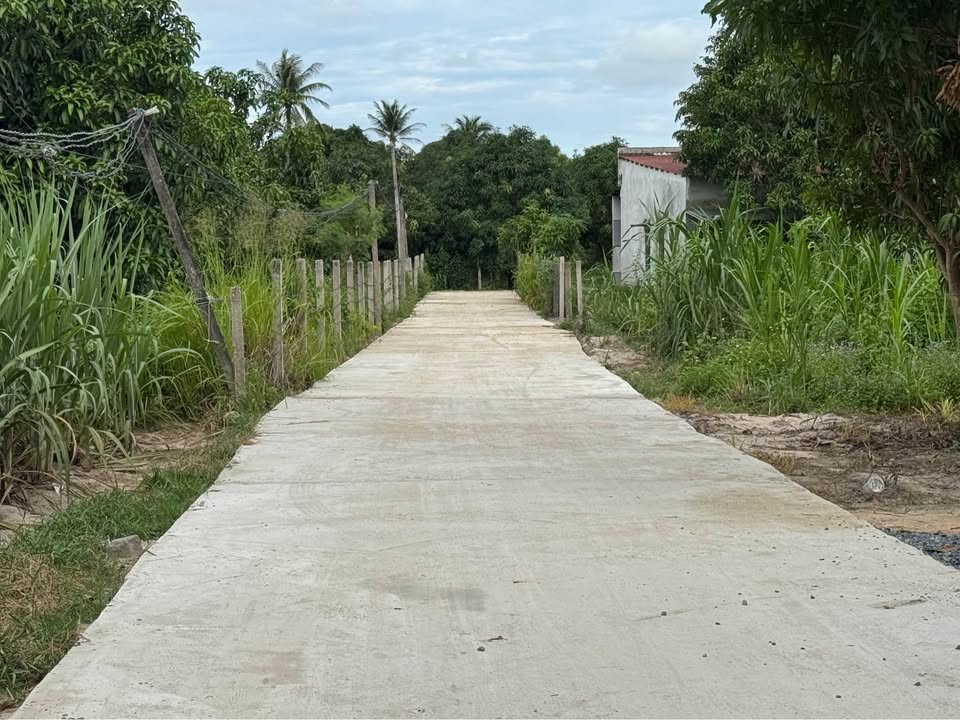 Đất nền Cam Hiệp Nam 165m² giá chỉ 9xx triệu - Cơ hội đầu tư sinh lời!