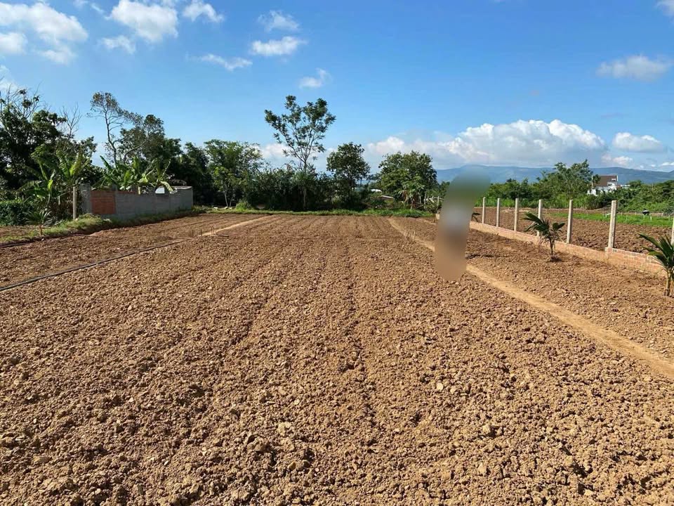 Đất nền Cư An Đăk Pơ 955m² giá 1.05 tỷ - Tặng nhà cấp 4 đã hoàn thiện!