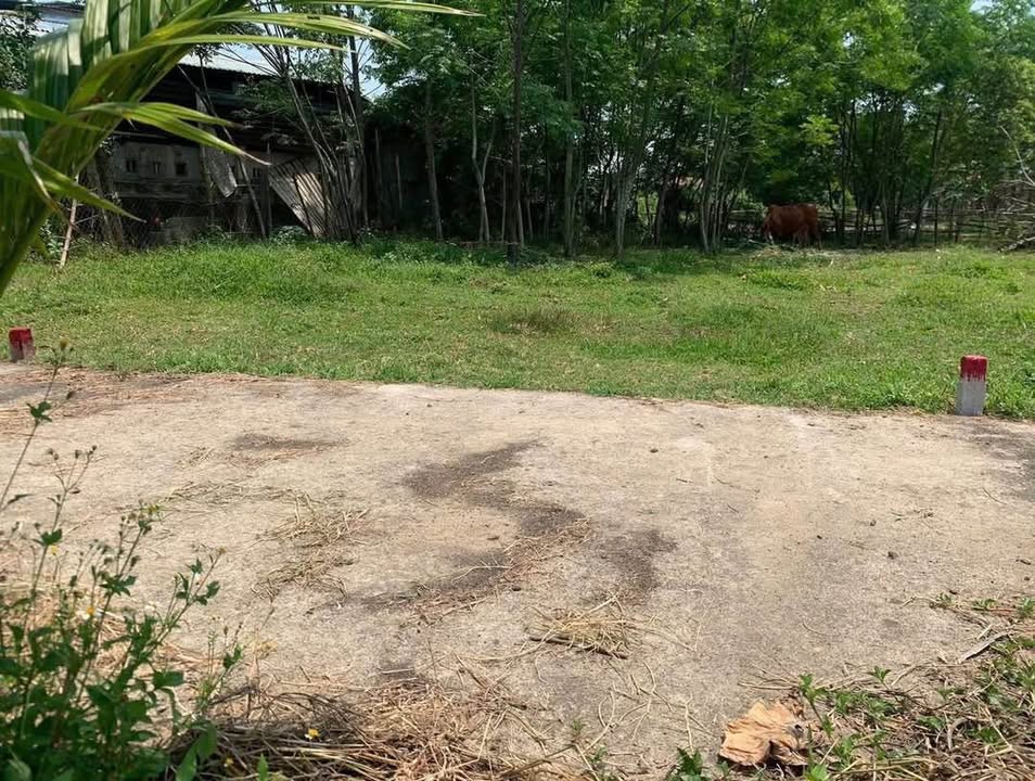 Đất nền 2 mặt tiền Điện Tiến, Điện Bàn 144m² giá 560 triệu - Cơ hội đầu tư tuyệt vời!