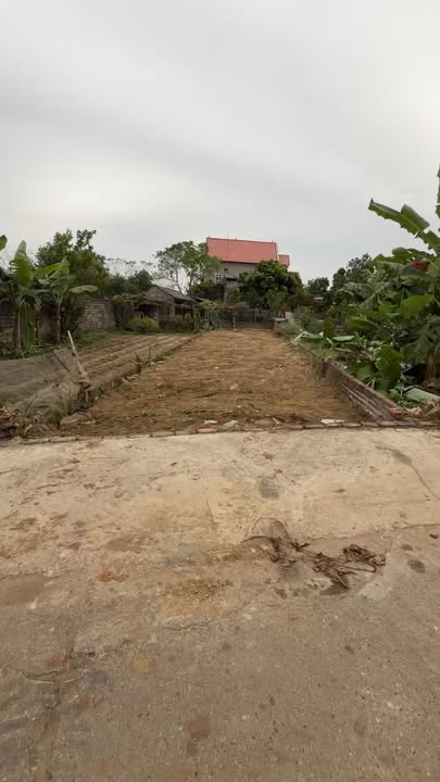 Đất chính chủ phố Thông Bắc Giang 130m² - Cần bán gấp giá thỏa thuận!