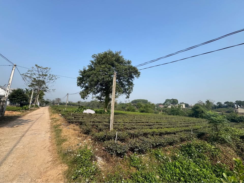 Đất nền Sông Công - Tân Cương 700m² giá 900 triệu - Tiềm năng nghỉ dưỡng tuyệt vời!