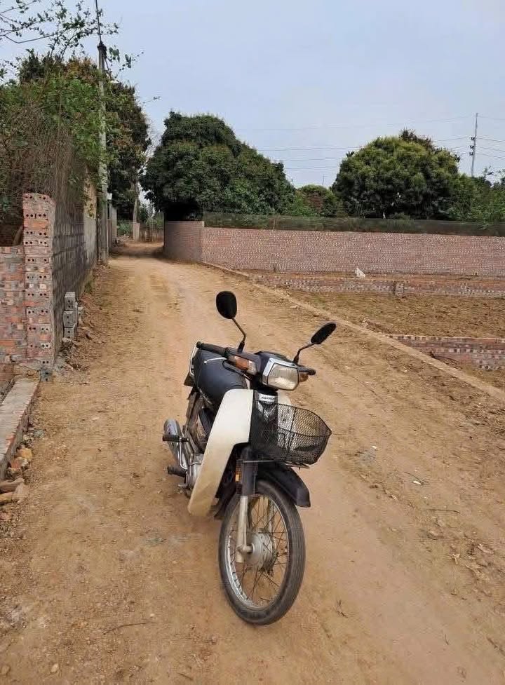 Đất nền Ngọc Nhị, Ba Vì 219.9m² giá 800 triệu - Sổ đỏ chính chủ, ô tô vào tận nơi!