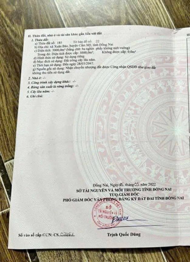 Đất nền xã Xuân Bảo, Cẩm Mỹ 1.08ha giá 800 triệu - Đường xe hơi thuận tiện!