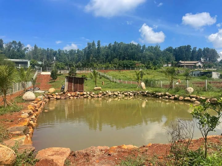 Lô đất Phường 1, Bảo Lộc 2160m² giá 12 tỷ - Sở hữu ngay vị trí đắc địa!