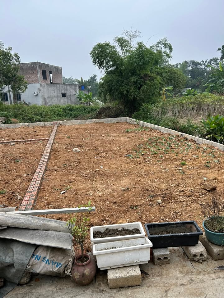 Đất nền xã Phú Nghĩa 91.8m² giá chỉ 2 tỷ - Đầu tư sinh lời hấp dẫn!