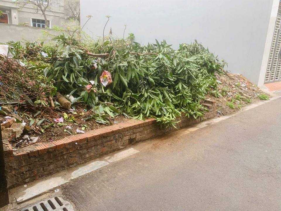 Đất thổ cư Bến Trung, Đông Anh 60m² - Tiềm năng đầu tư vượt trội!