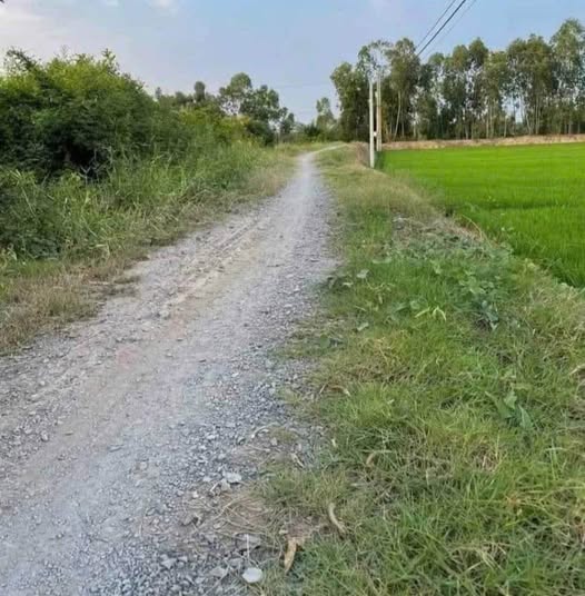 Đất nông nghiệp 2 công tại xã Nhị Bình, Châu Thành, Tiền Giang - Giá tốt cho nhà đầu tư!