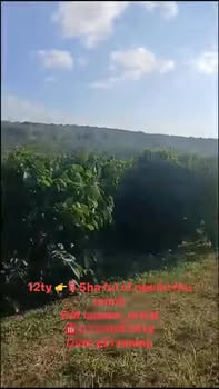 Đất Farm 5.5ha tại Xã Ia Pếch, Huyện Ia Grai, Gia Lai giá 12 tỷ - Cơ hội đầu tư sinh lời mạnh mẽ!