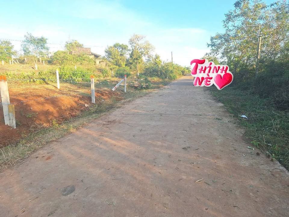 Đất thổ cư mặt tiền đường bê tông tại Phường Hội Phú, Gia Lai 15972m² - Giá chỉ 799 triệu!