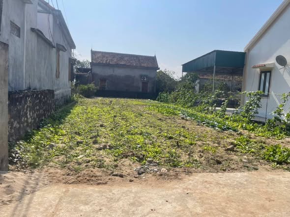 Đất nền xã Diễn Thái, Diễn Châu 216m² - Chính chủ, giá thỏa thuận!