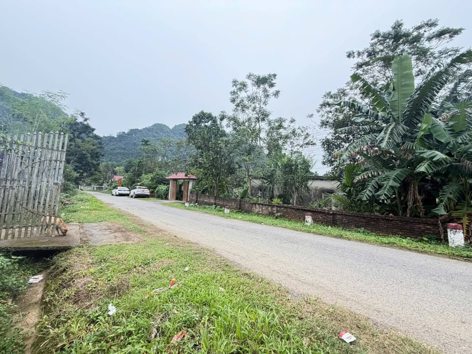 Đất nền mặt đường Tiên Hội, Lương Sơn, Hoà Bình - Đầu tư sinh lời từ 600 triệu!