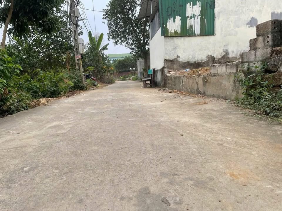 Đất nền Thôn 7 Tân Xã 77.5m² giá 3 tỷ - Mặt tiền 5m, vị trí đắc địa!