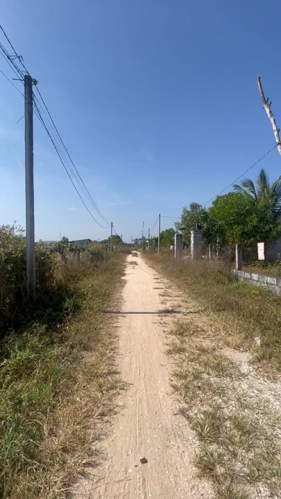 Đất thổ cư Lạc Tánh, Tánh Linh 450m² giá 2 tỷ - Vị trí lý tưởng để xây nhà vườn!