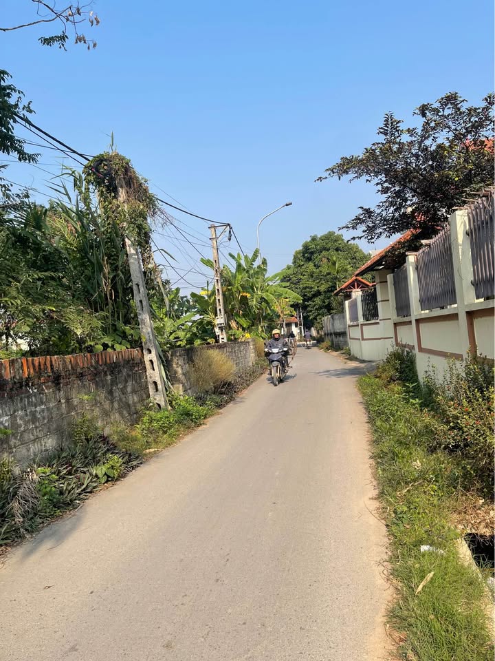 Đất nền Tam Đảo 102m² giá 1.7 tỷ - Bán gấp chính chủ!