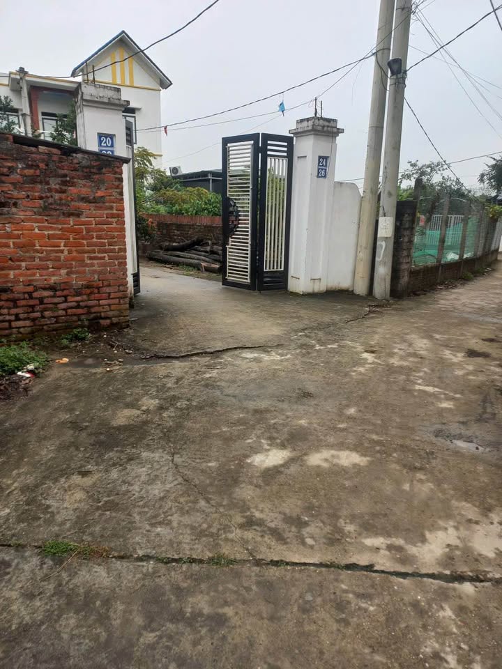 Đất nền 128m² tại Trạch Mỹ Lộc, Phúc Thọ chỉ 1.6 tỷ - Cơ hội đầu tư hấp dẫn!