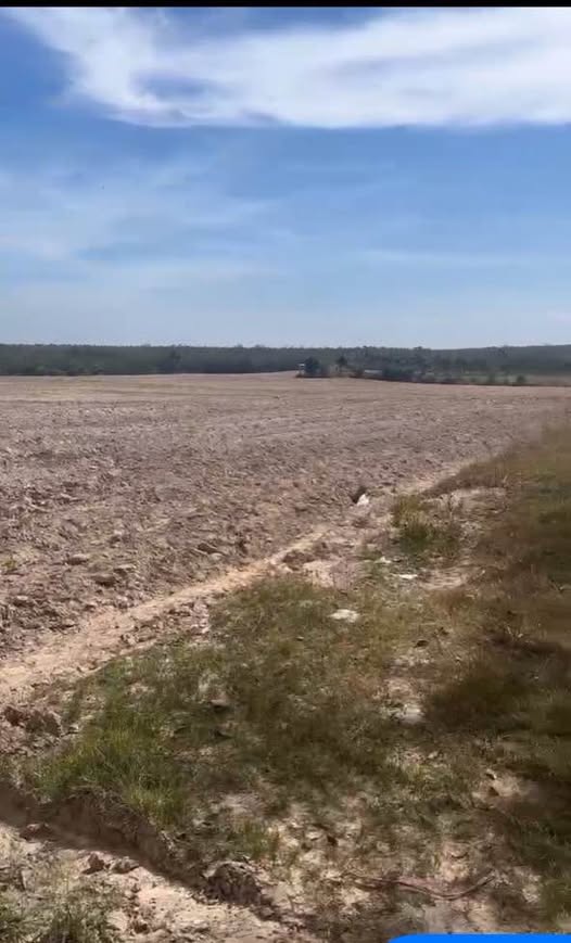 Đất nền Tân Thuận, Tân Hoà, Tân Châu 76.000m² giá 855 triệu - Đất cao ráo, giao dịch nhanh!