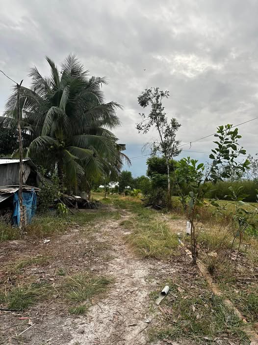 Đất thổ cư Ấp Bàu Đưng, Thạnh Bình 8000m² giá 1.1 tỷ - Cơ hội đầu tư tuyệt vời!