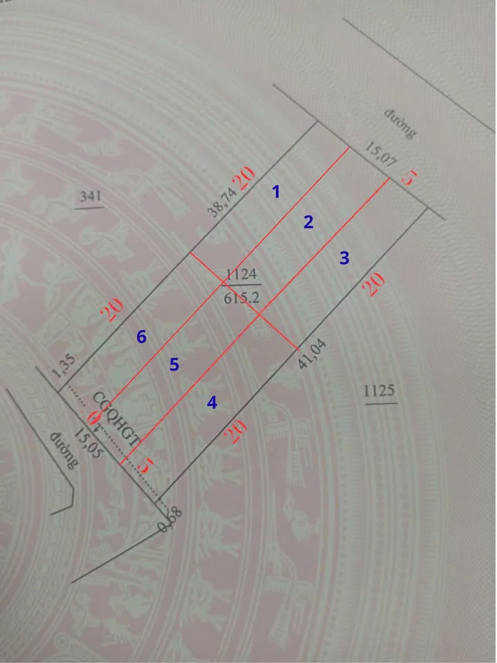 Đất thổ cư Chư Sê 100m² giá 230 triệu - Cơ hội cuối cùng!