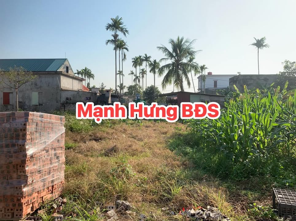 Đất thổ cư 85m² tại Hòa Bình, Vĩnh Bảo - Giá chỉ 1.2 tỷ, tiềm năng tăng giá cao!