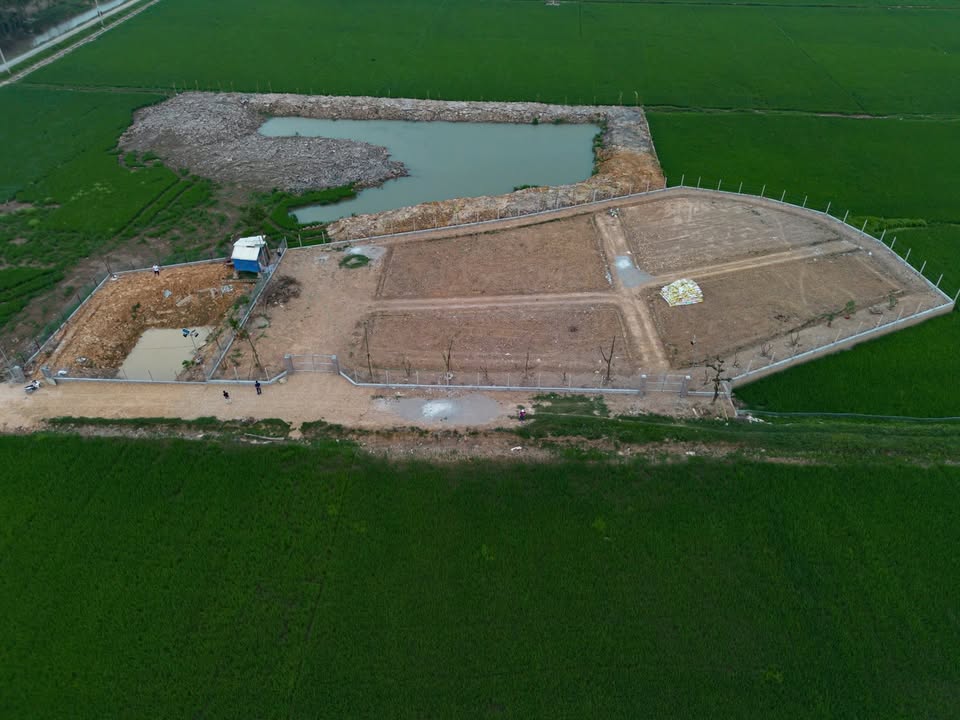 Đất ruộng đẹp Trường Yên, Chương Mỹ 1100m² giá 2.2 tỷ - Tiềm năng phát triển cao!