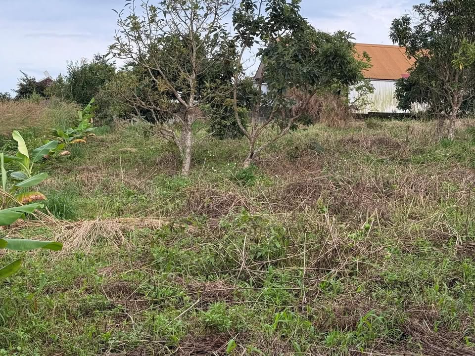 Đất thổ cư 1 sào thôn 12 Lộc Thành 1.6 tỷ - Đầu tư sinh lời tuyệt vời!