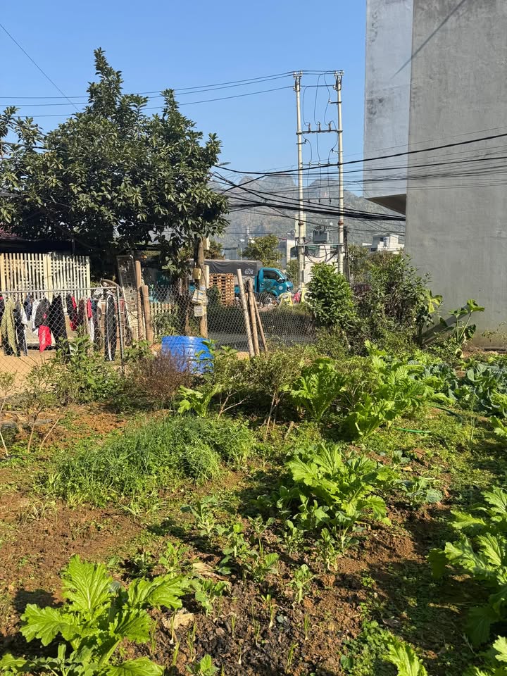 Đất nền Bản Cọ, Chiềng An 190m² giá 1.9 tỷ - Đầu tư sinh lời lý tưởng!