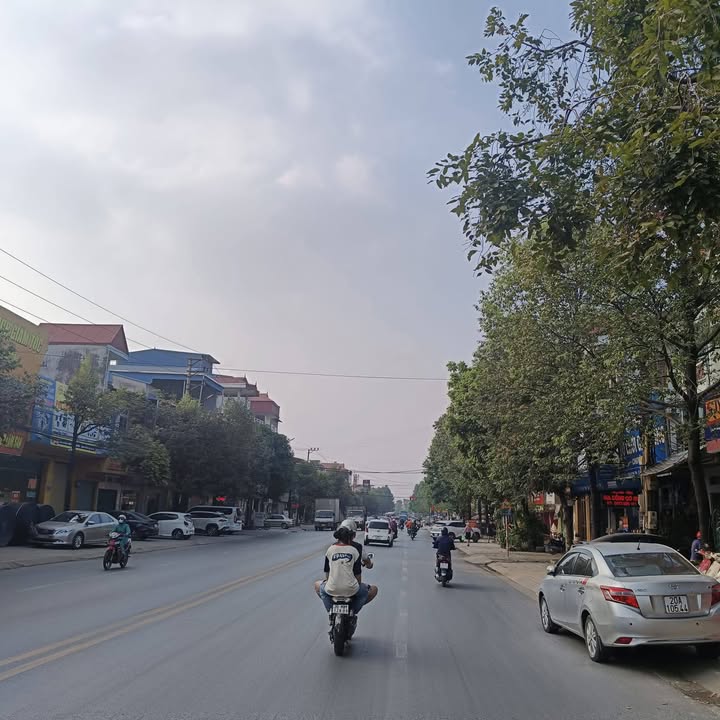 Bán đất mặt đường Dương Tự Minh 91m² giá 4 tỷ - Vị trí kinh doanh lý tưởng!