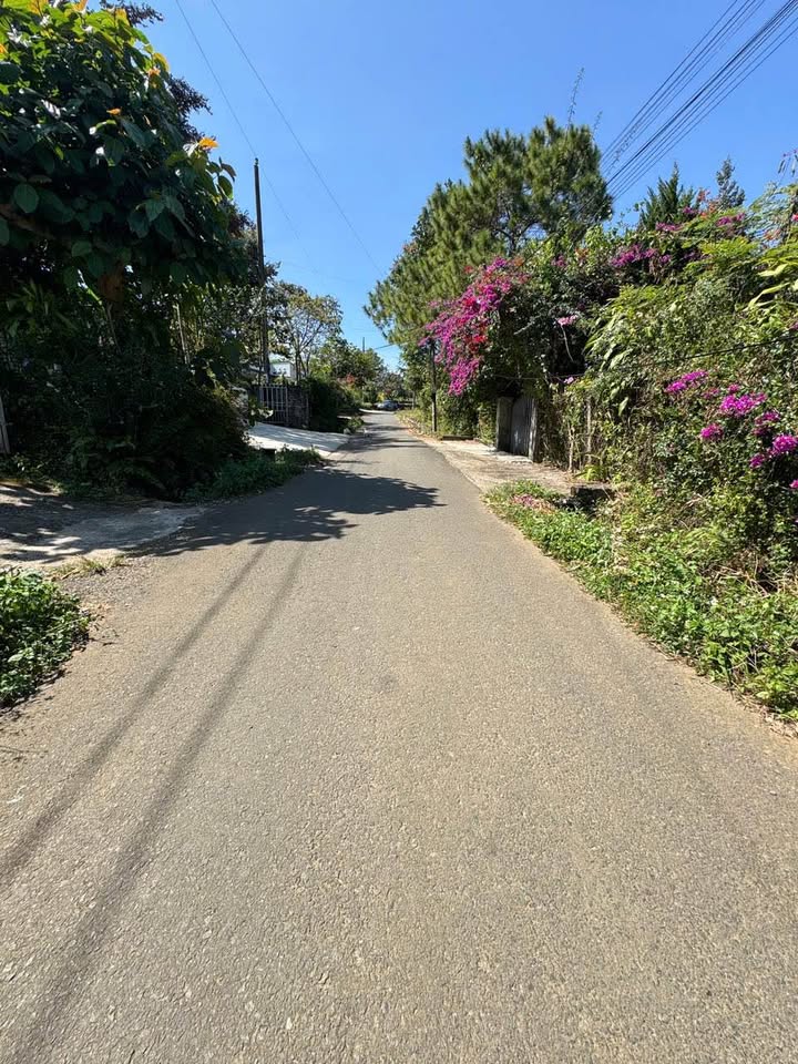 Đất vườn mặt tiền đường Phan Ngọc Hiển, Bảo Lộc 3000m² - Sổ đỏ chính chủ, giá cực hấp dẫn!