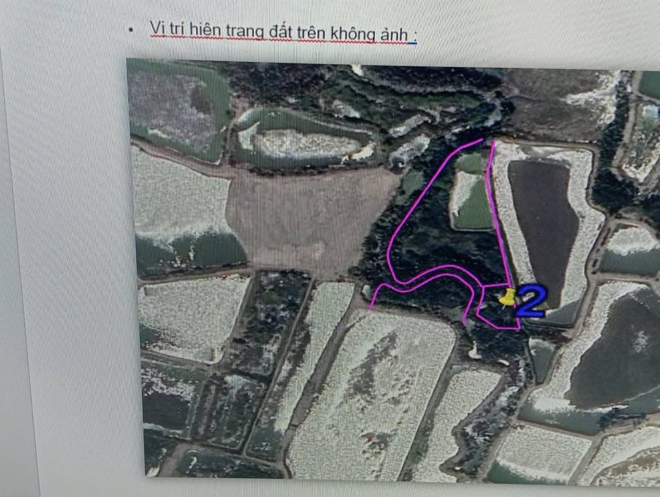 Đất nền Bình Khánh Cần Giờ 450m² giá 1.35 tỷ - Cơ hội đầu tư hấp dẫn!