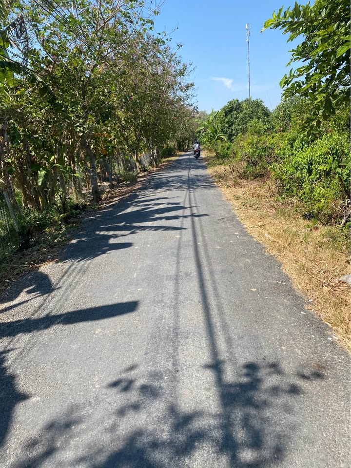 Farm 3 Công 6 Vườn Cây Ăn Trái Tại Cao Lãnh 3600m² - Đầu Tư Sinh Lời Ngay!