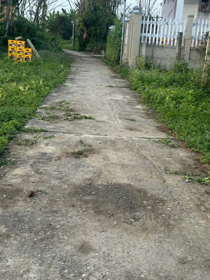 Đất nền phường Hòa Khánh Bắc, Đà Nẵng 170m² giá 800 triệu - Địa thế đẹp, thuận lợi đầu tư!