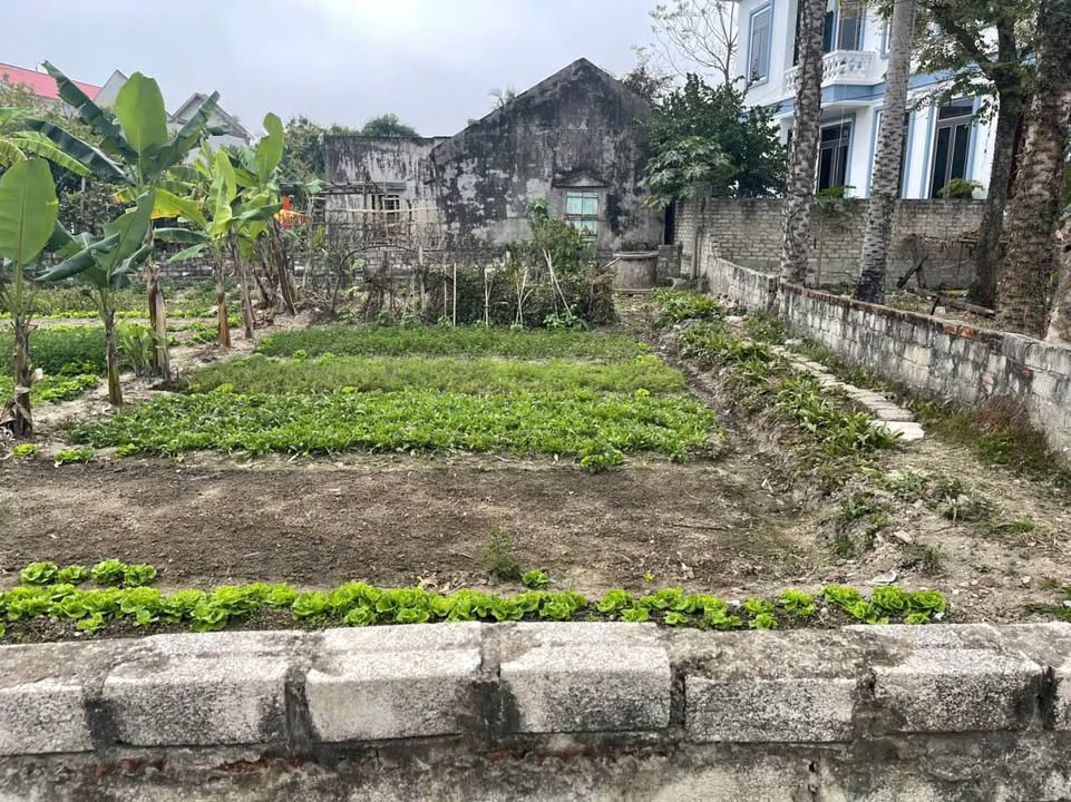 Đất nền Phường Quảng Hưng 100m² - Hướng Đông, giá thỏa thuận - Cơ hội đầu tư tuyệt vời!