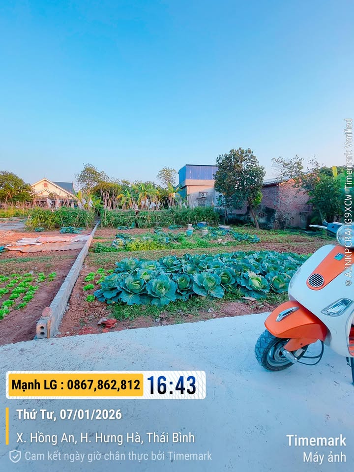 Đất Hồng An, Hưng Hà 117m² giá chỉ 5xx triệu - Cơ hội đầu tư tốt!