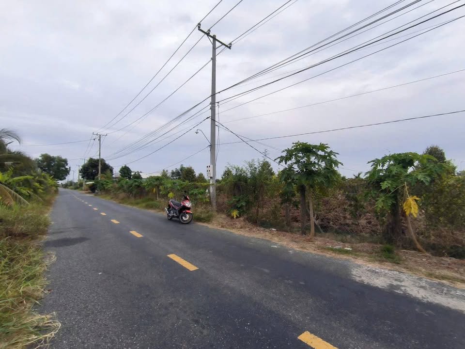 Đất thổ cư mặt tiền Đường Phạm Văn Điền, Tân An, Long An 132.6m² - Giá 1.3 tỷ thương lượng!