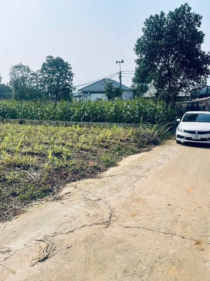 Lô đất đẹp 335m² tại Yên Bài, Ba Vì - Giá thương lượng hấp dẫn!