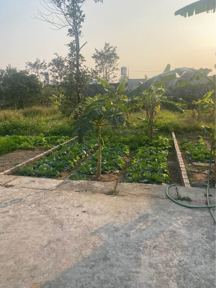 Đất nền Ngọc Khám - Thuận Thành 73,6m² giá chỉ 2,x tỷ - Sổ đỏ ngay!