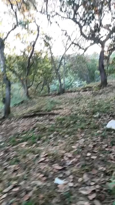 Đất Farm 2.1ha tại Quốc lộ 14 - Giá thỏa thuận hấp dẫn!