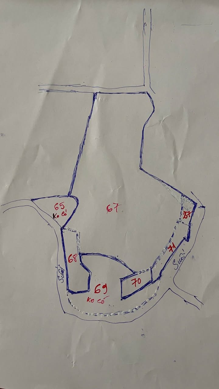 Đất thổ cư 1.3 mẫu tại Bình Sơn, Long Thành giá 13 tỷ - Đường xe công vào tận nơi!