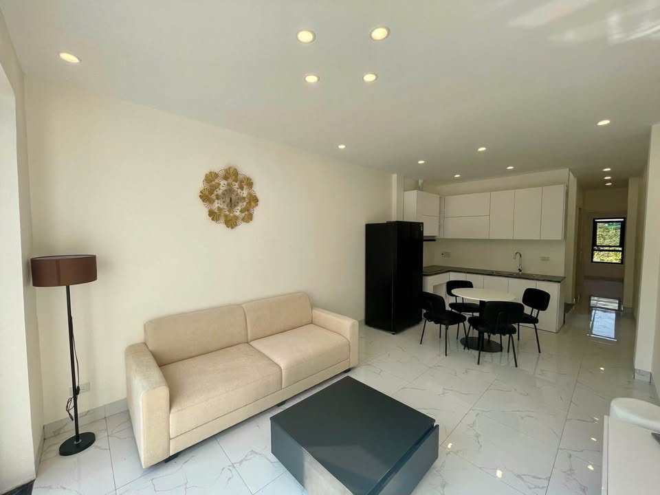 Nhà phố Bích Đào Ninh Bình 64m² giá thỏa thuận - Ô tô vào tận sân!