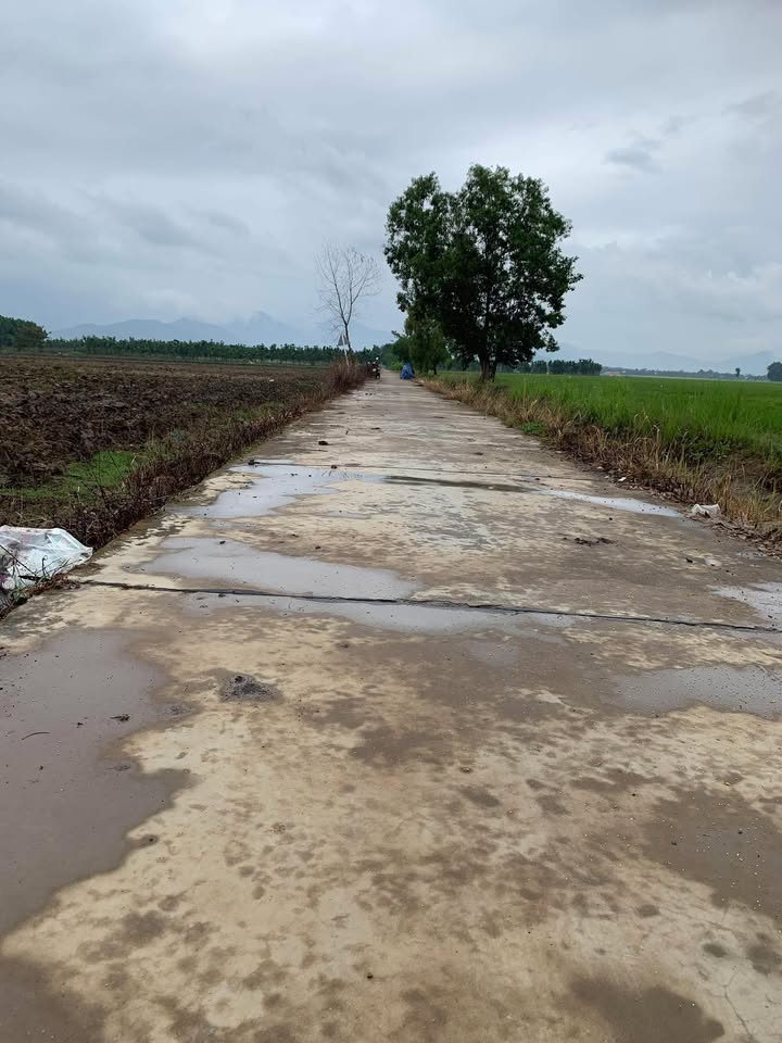 Đất Bàu Cạn, Long Thành 5500m² giá thỏa thuận - Tiềm năng nghỉ dưỡng tuyệt vời!