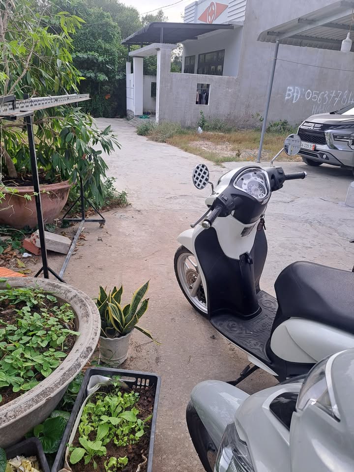 Đất nền Phú Tài, Phan Thiết 80m² giá 380 triệu - Đầu tư sinh lời nhanh chóng!