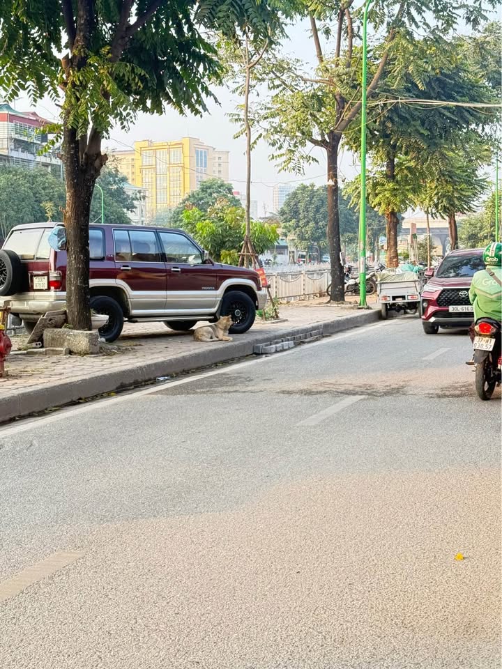 Nhà 5 tầng Trường Chinh 55m² giá chỉ 14 tỷ - Sẵn sàng vào ở ngay!