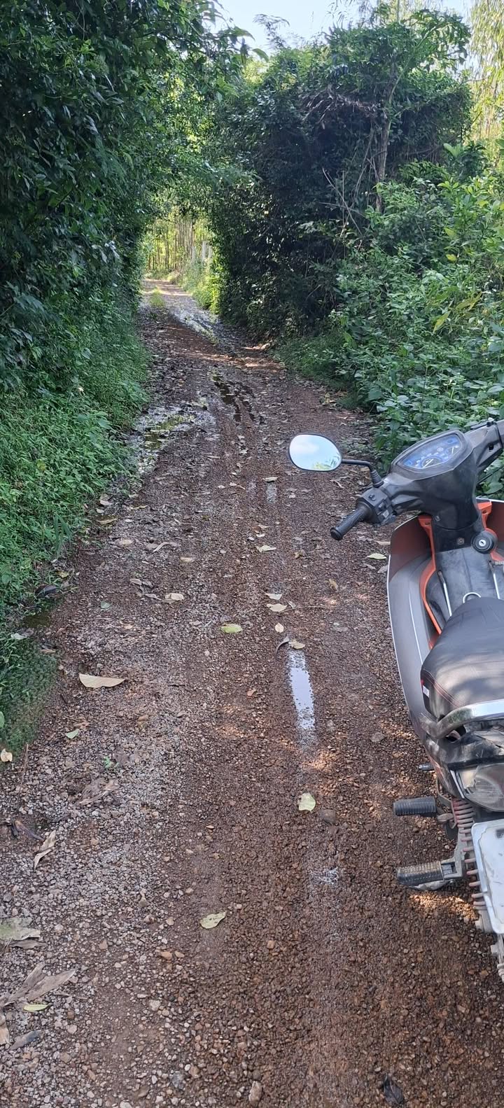 Đất Farm Xã Bình Thạnh, Huyện Bình Sơn 970m² - Sổ đỏ chính chủ, giá tốt!