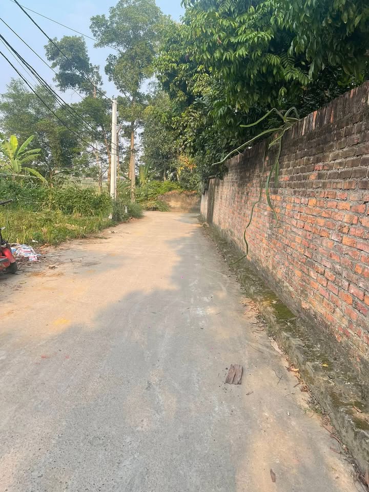 Đất nền Phường Vạn Xuân, Thái Nguyên 97m² chỉ 500 triệu - Cơ hội đầu tư hấp dẫn!